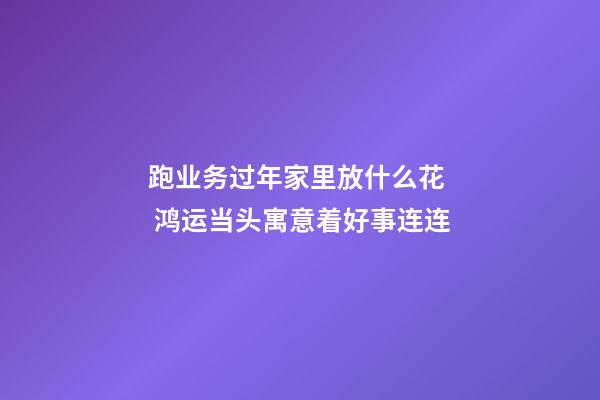 跑业务过年家里放什么花  鸿运当头寓意着好事连连